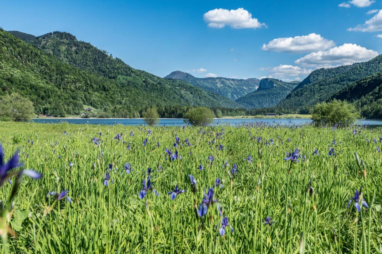 Hotel Fischerwirt Natur Waldspa Faistenau Ngoại thất bức ảnh