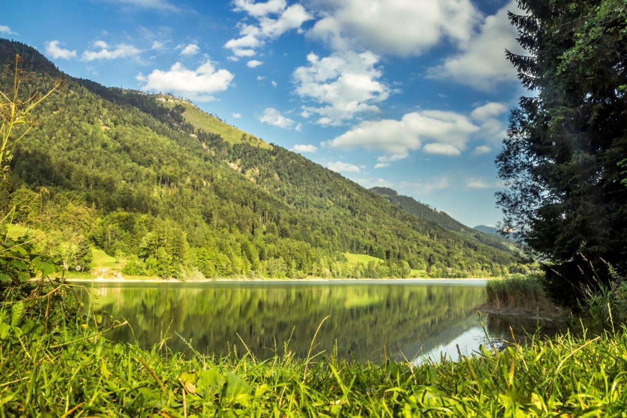 Hotel Fischerwirt Natur Waldspa Faistenau Ngoại thất bức ảnh